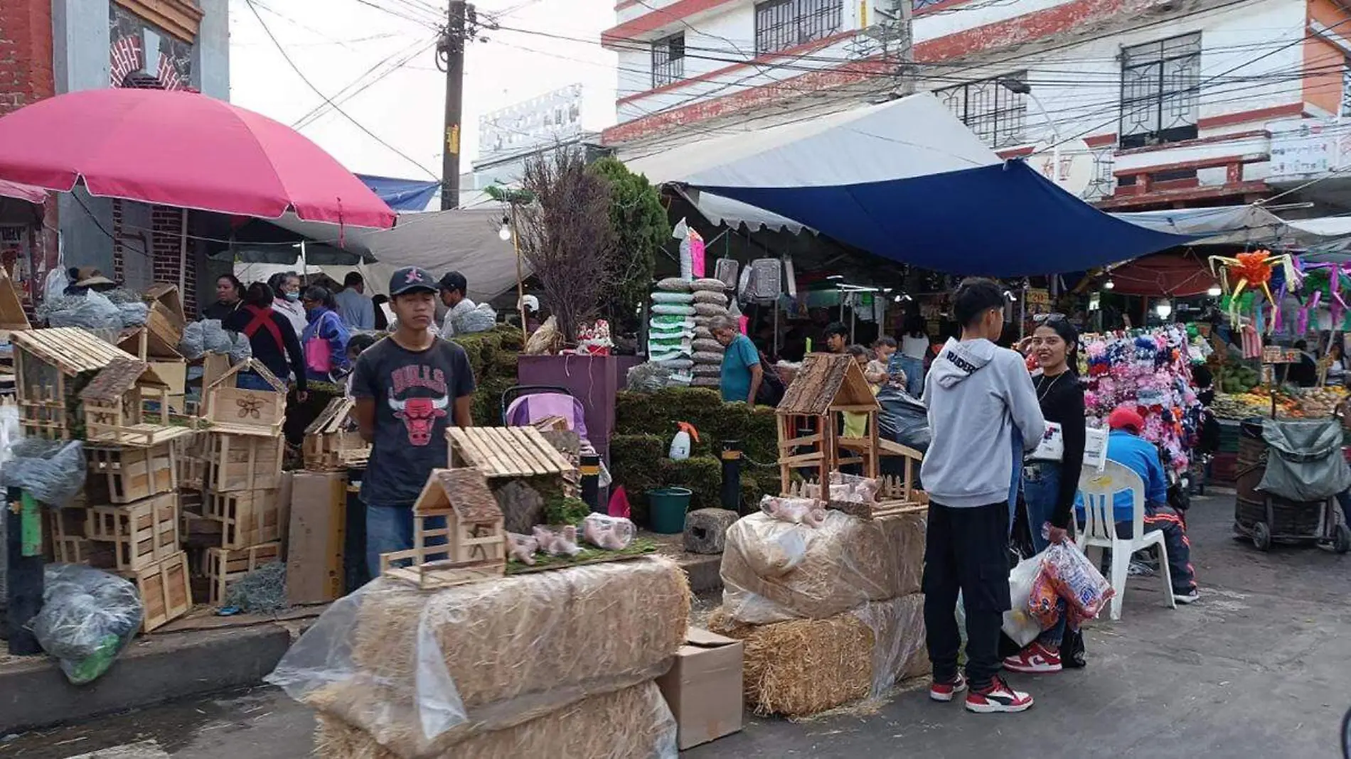 MERCADO DOMINGO ARENAS 01